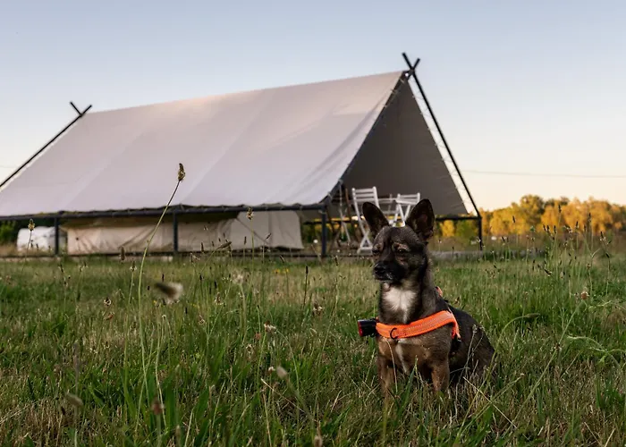 Glamping Szelagowka, Sun & Snow